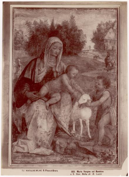 Dipinto murale - Madonna con Bambino e S. Giovannino - Bernardino Luini - Milano - Pinacoteca di Brera (da Milano - Chiesa di S. Michele alla Chiusa - Ospizio dei Certosini)