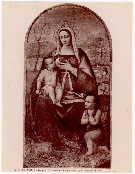 Dipinto murale - Madonna del Latte e S. Giovannino - Bernardino Luini - Milano - Pinacoteca di Brera (da Milano - Monastero delle Vetere)