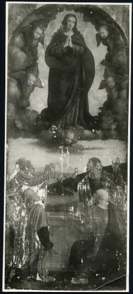 Dipinto - Pala di Bobbio - Particolare dell'Assunzione della Vergine, Angeli e Santi - Bernardino Luini - Bobbio - Cattedrale