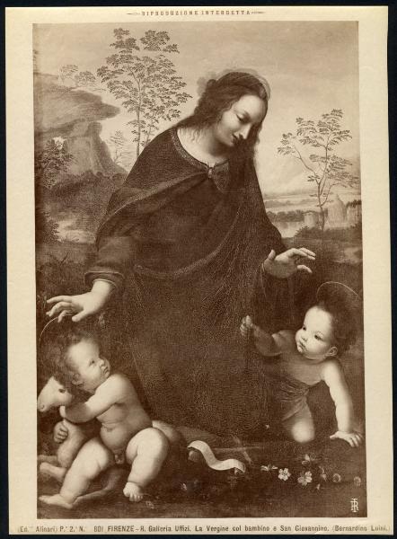 Dipinto - Madonna con Bambino e San Giovannino - Bernardino Luini - Firenze - Galleria degli Uffizi