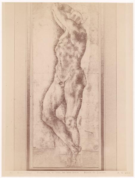 Disegno - Studio di nudo virile stante - Michelangelo Buonarroti - Parigi - Museo del Louvre