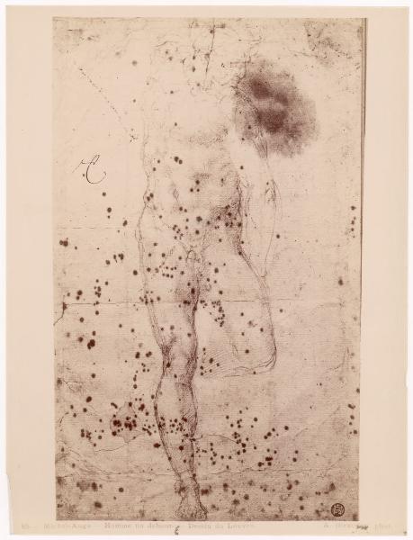 Disegno - Michelangelo Buonarroti - Studio di nudo virile stante - Parigi - Museo del Louvre