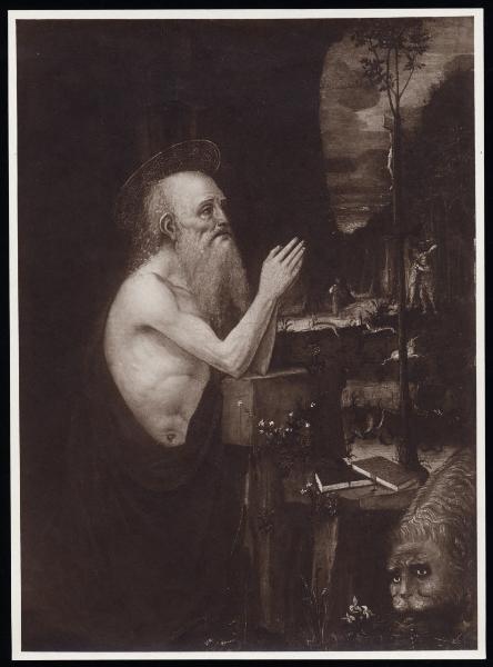 Dipinto - San Girolamo - Bernardino Luini