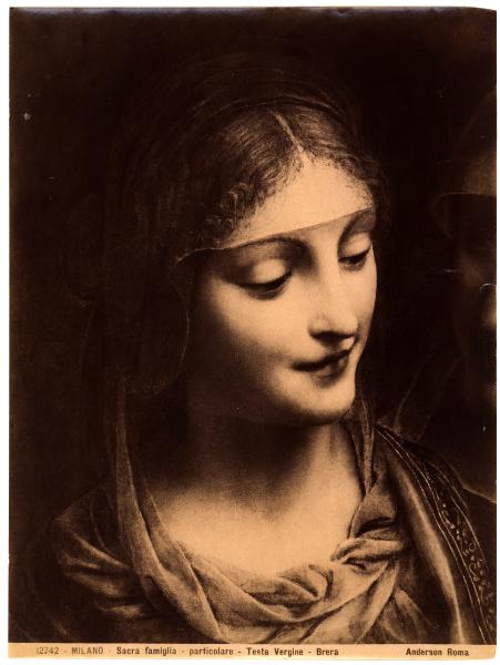 Milano - Pinacoteca di Brera - Bernardino Luini, testa della Vergine, particolare della Sacra Famiglia, dipinto (?)