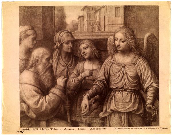 Milano - Pinacoteca Ambrosiana - Bernardino Luini, Tobia e l'Angelo, disegno