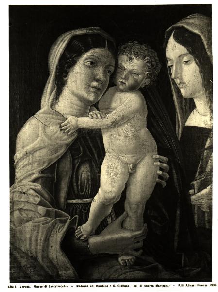 Dipinto - Andrea Mantegna (?) - Madonna con Bambino e Santa Giuliana - Verona - Museo di Castelvecchio