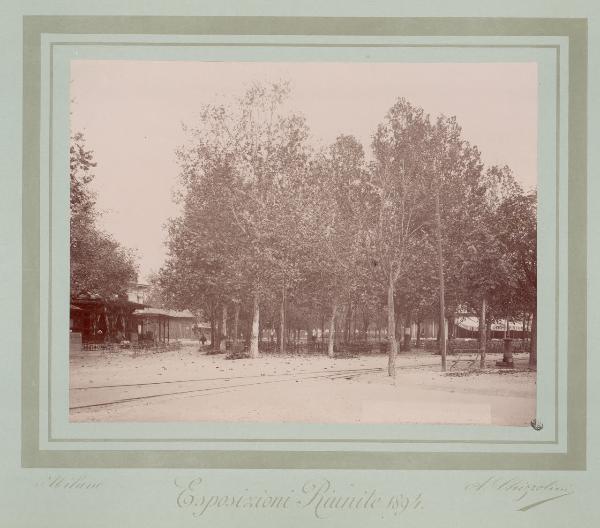 Milano - Esposizioni Riunite del 1894 - Parco Sempione - Ippocastani