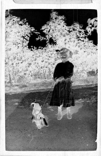 Prima Guerra Mondiale - Veneto (?) - Ritratto infantile - Bambina con un cagnolino