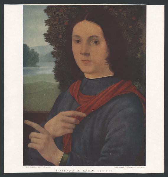 Collezione Gualino. Lorenzo di Credi, ritratto maschile, dipinto.