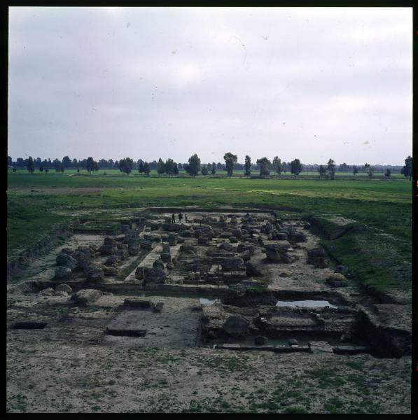 Basilicata - Bernalda - Area Archeologica del Metaponto - Tempio di Apollo Licio - Scavi archeologici