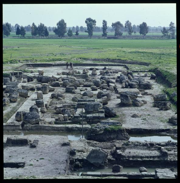 Basilicata - Bernalda - Area Archeologica del Metaponto - Tempio di Apollo Licio - Scavi archeologici