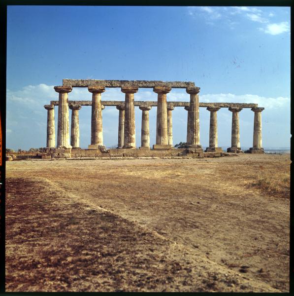 Basilicata - Bernalda - Area Archeologica del Metaponto - Tavole Palatine, o Tempio di Hera