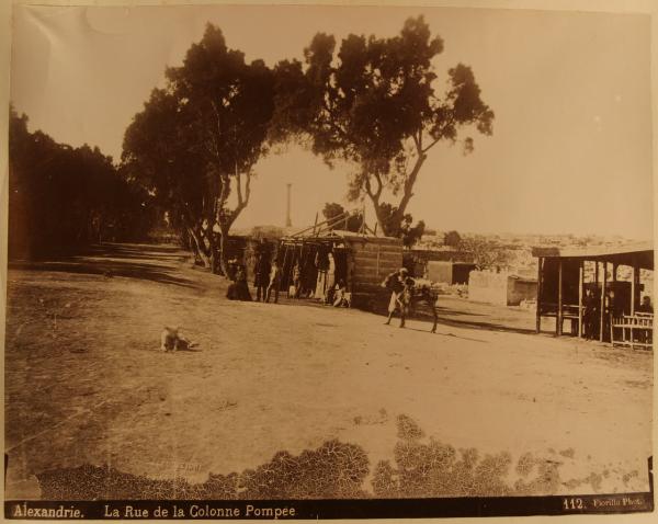 Egitto - Alessandria - Strada per andare al Pilastro di Pompeo - Un mulo carico - Persone - Un cane in mezzo alla strada