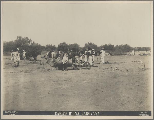 Eritrea - Carovana - Cammelli - Cavalli - Carovanieri
