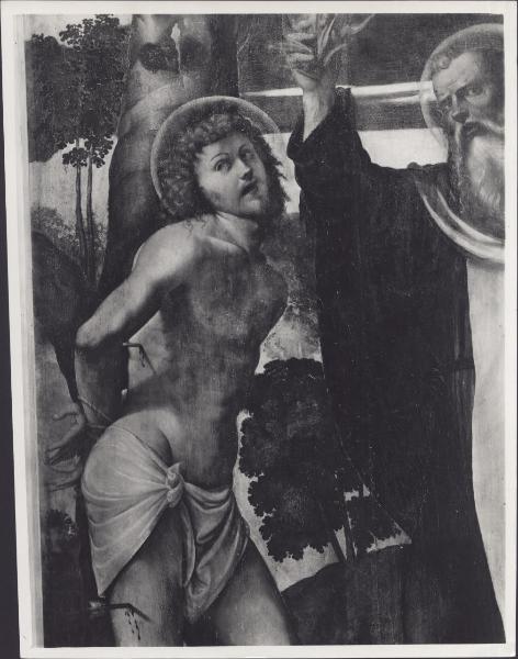 Dipinto - I Ss. Antonio abate, Rocco, Sebastiano e due donatori (particolare di San Sebastiano) - Moretto - SalÃ² - Duomo