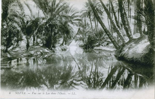 Tunisia - Nefta - Veduta del laghetto nell'oasi