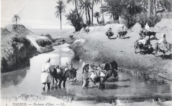Tunisia - Tozeur - Portatori d'acqua