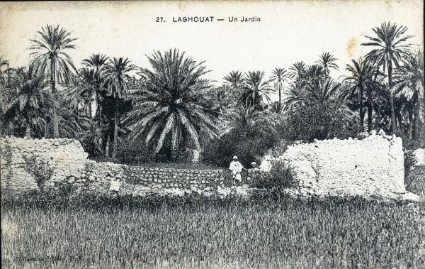 Algeria - Laghouat - Un giardino