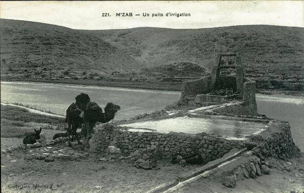 Algeria - M'Zab - Un pozzo di irrigazione