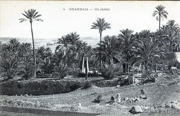 Algeria - Ghardaïa - Un giardino