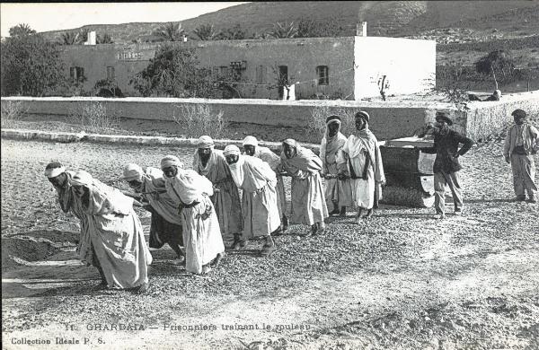Algeria - Ghardaïa - Pigionieri che trainano un rullo