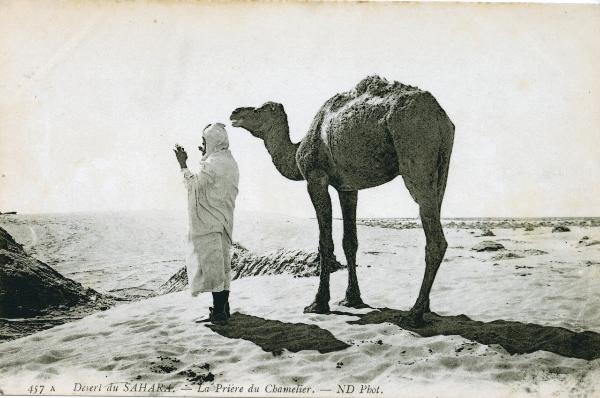 Algeria - Deserto del Sahara - Cammelliere durante una preghiera