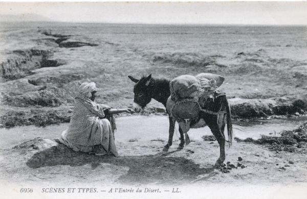 Algeria - Una donna e un asino nel deserto