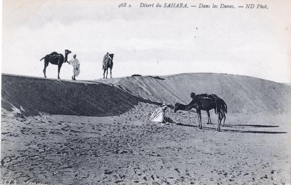 Algeria - Deserto del Sahara