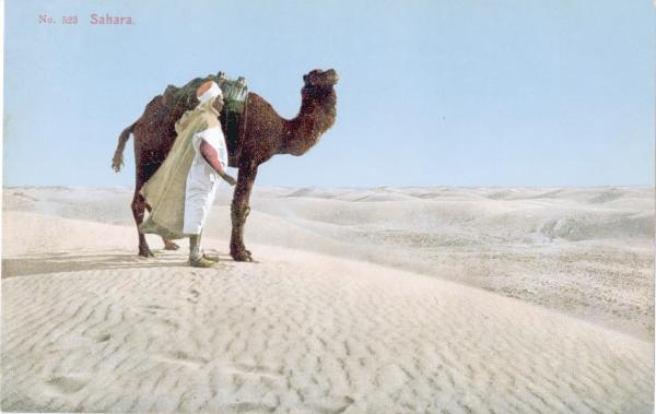 Algeria - Deserto del Sahara