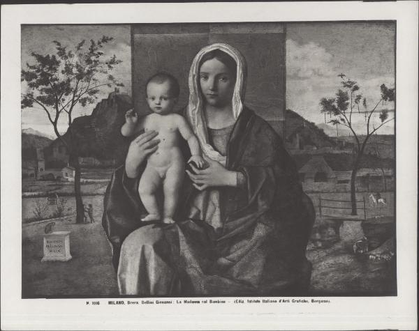 Dipinto - Madonna con Bambino - Giovanni Bellini - Milano - Pinacoteca di Brera