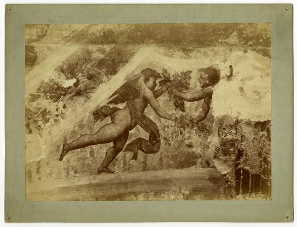 Dipinto murale - Milano - Castello Sforzesco - Sala V già erroneamente detta "Saletta Negra" - Particolare dei putti alati negli spicchi della volta subito dopo la scoperta del novembre 1893
