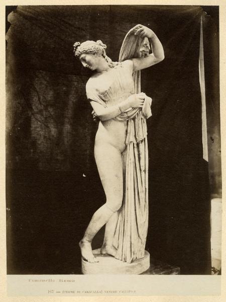 Scultura - Marmo - Venere Callipige - Napoli - Museo Archeologico Nazionale