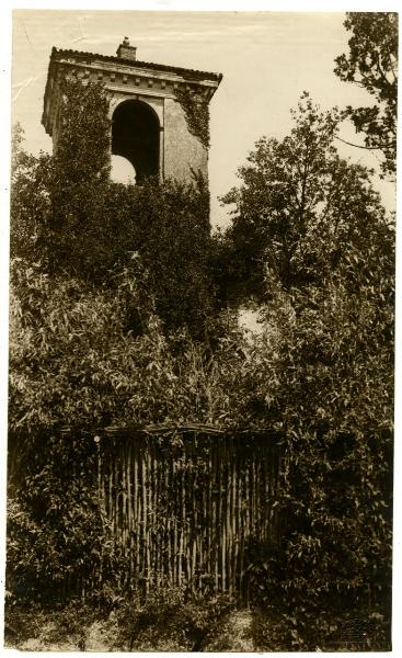 Carpiano (MI) - Castello - dettaglio della torre - vegetazione