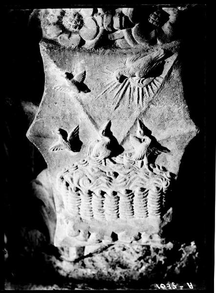 Scultura - capitello - stemma con impresa sforzesca - colomba radiata che scende sopra un nido - Cortile della Rocchetta - Castello Sforzesco - Milano