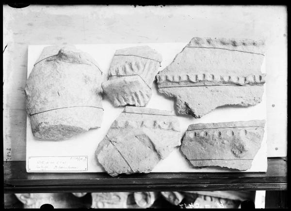 Reperti archeologici - cinque frammenti di vasi - Museo Archeologico - Castello Sforzesco - Milano