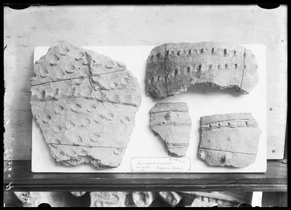 Reperti archeologici - frammenti - Museo Archeologico - Castello Sforzesco - Milano