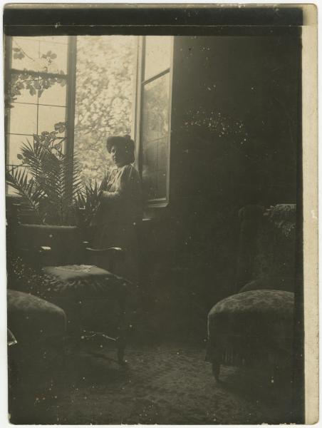 Ritratto femminile - Elvira Lazzaroni davanti a finestra - Salotto