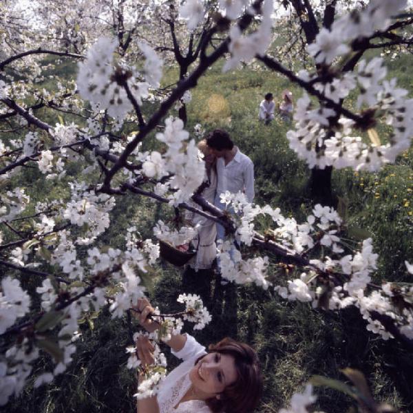 Campagna pubblicitaria Mon Chéri. Alberi di ciliegio in fiore - giovane donna coglie un fiore - coppie
