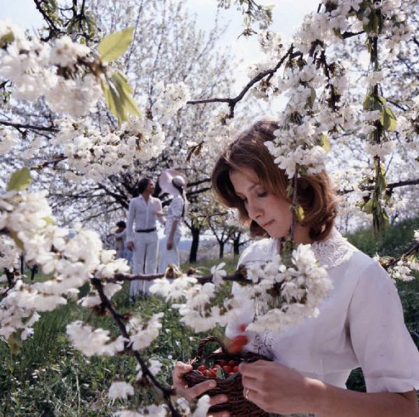 Campagna pubblicitaria Mon Chéri. Alberi di ciliegio in fiore - giovane donna con cestino di ciliegie - coppie
