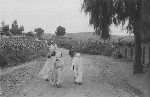 Viaggio in Africa. Villaggio - donne indigene con i loro figli sulla schiena in cammino su una strada sterrata tra campi di granoturco