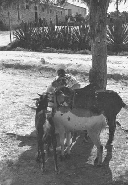 Viaggio in Africa. Pastore indigeno con capre