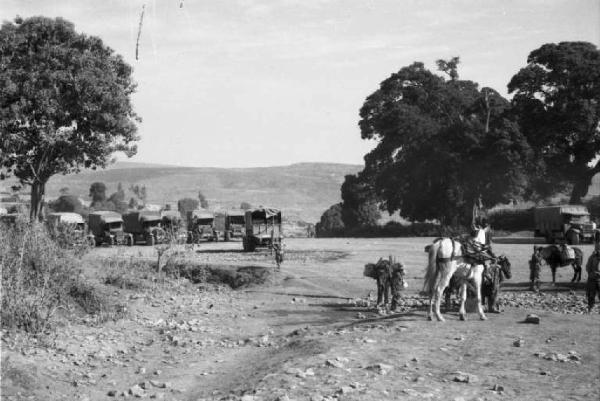 Viaggio in Africa. Radura con muli e costruzioni sullo sfondo