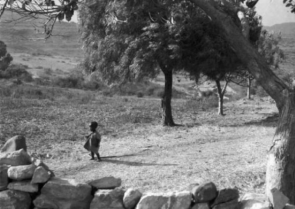 Viaggio in Africa. Quiha: scorcio dei dintorni del villaggio, uno sterrato, alberi di acacia e bambino indigeno