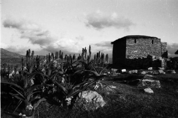 Viaggio in Africa. Quiha: paesaggio africano con piante d'agave tra le rocce ed edificio in pietra