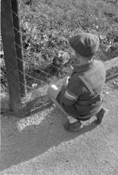 Viaggio in Jugoslavia. Giardino zoologico di Zagabria: giovane recluta ustascia che osserva la gabbia delle linci
