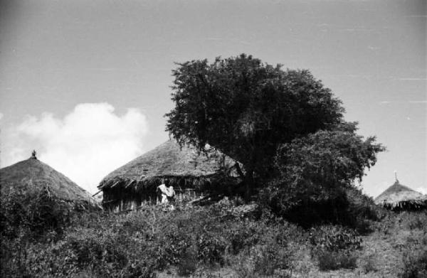 Viaggio in Africa. Paesaggio africano: uomo africano accanto ad alcune capanne con tetto in paglia immerse nella vegetazione