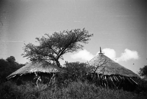 Viaggio in Africa. Paesaggio africano: capanne con tetto in paglia immerse nella vegetazione