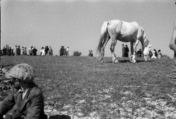 Viaggio in  Jugoslavia. Domenica sportiva a Sisak: un cavallo pascola nel prato in mezzo alla gente