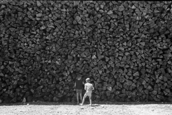 Viaggio in Jugoslavia. Cataste di legna