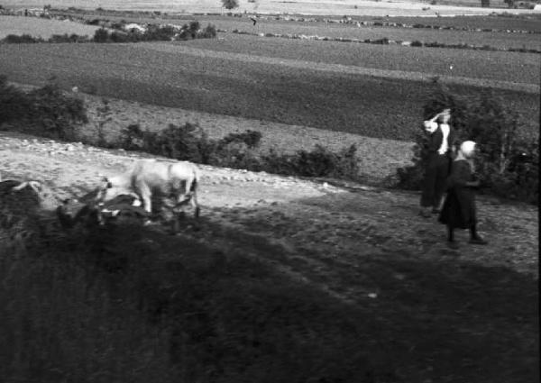 Viaggio in Jugoslavia. Verso Sebenico: scorcio della campagna nei pressi di Knin, con due contadini in cammino su un sentiero